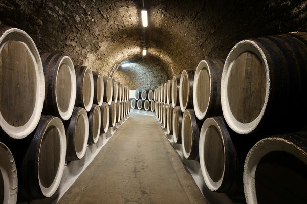 Cave à vin à avignon : votre guide vers les meilleures sélections